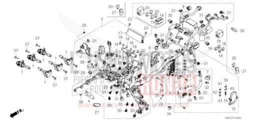 WIRE HARNESS GL1800BDN de 2022